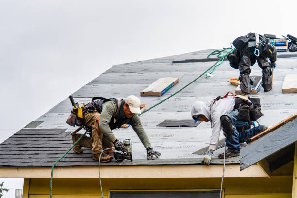 Professional Flat Roof Repair technician working in Bethel, WA